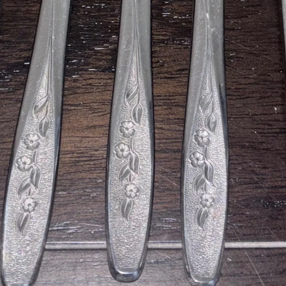 Superior Stainless USA | RADIANT ROSE Set | 4 Spoons, 2‎ tsp, 6 Knives, 1 Fork